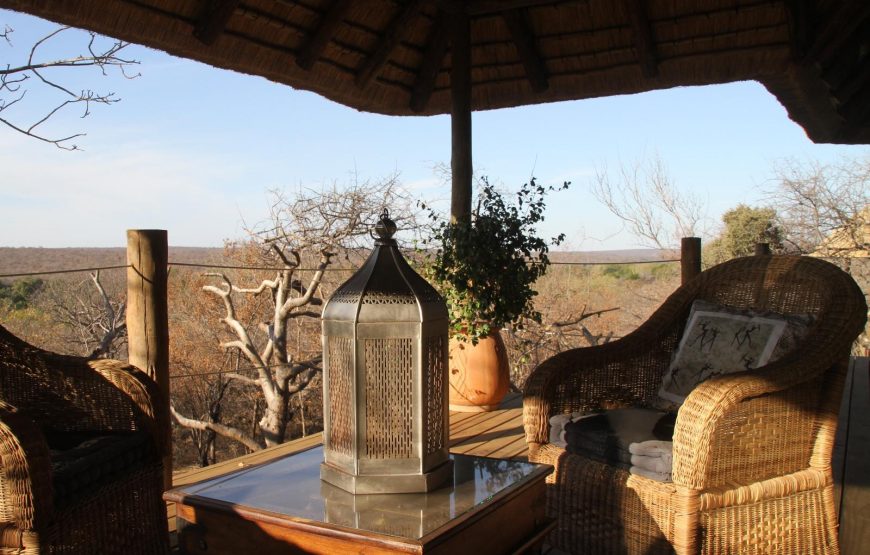 Luxury Baobab Tree Cottage