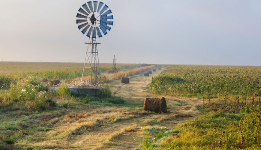 Free State