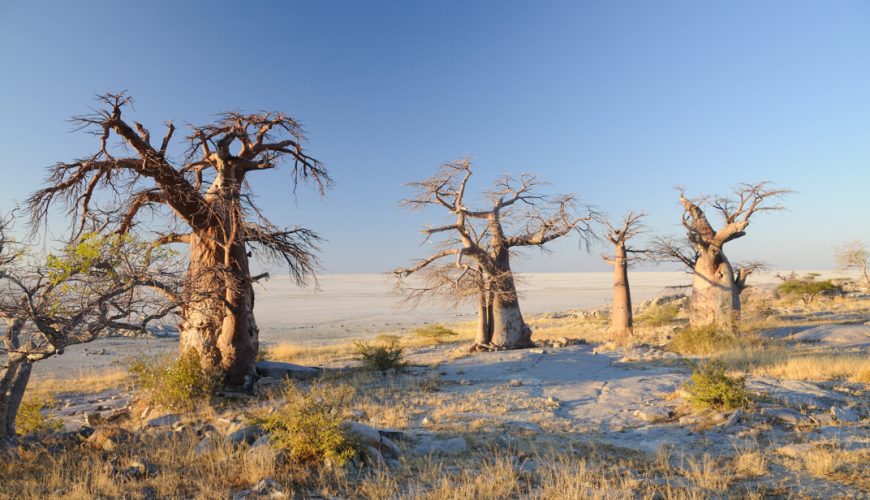 Ghanzi District