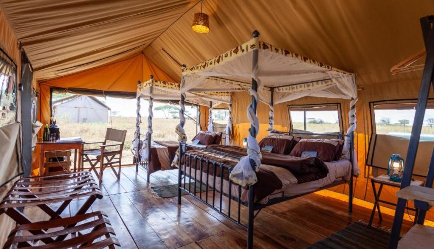 Triple Room with View