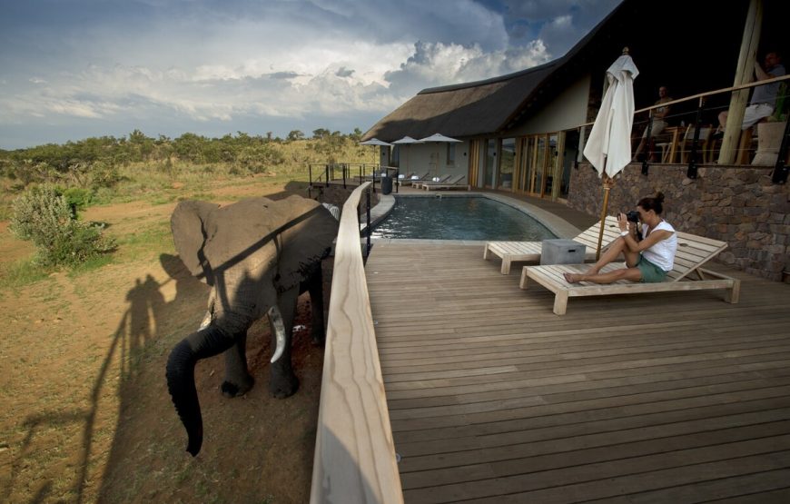 Mhondoro Safari Lodge & Villa