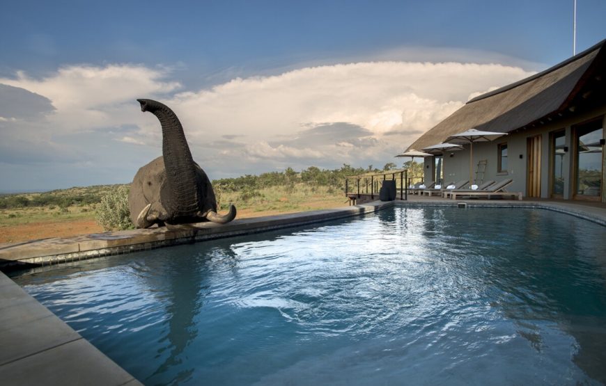 Mhondoro Safari Lodge & Villa