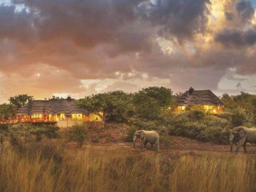 Tuningi Safari Lodge