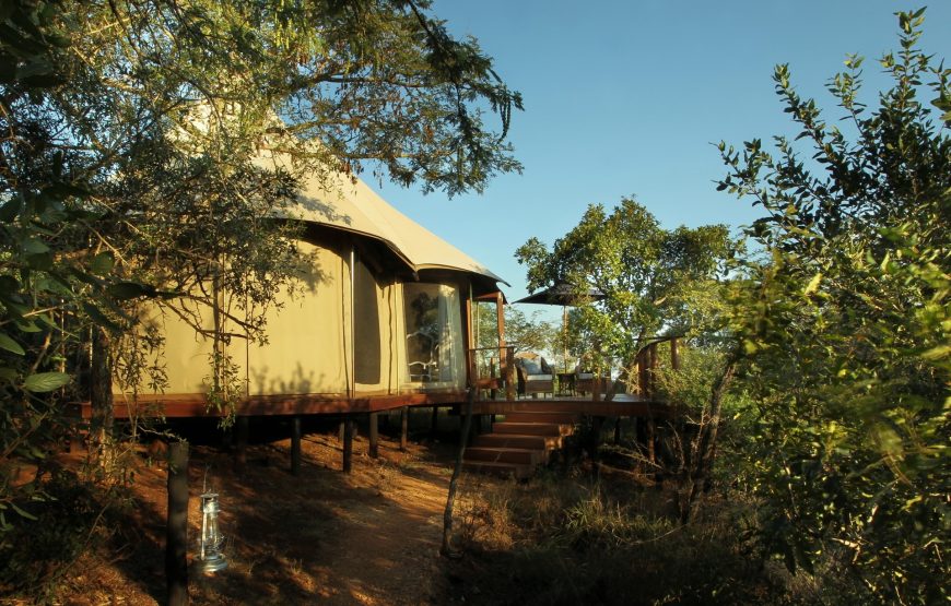 Thandi Safari