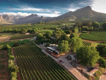 Alluvia Boutique Winery & Luxury Accommodation