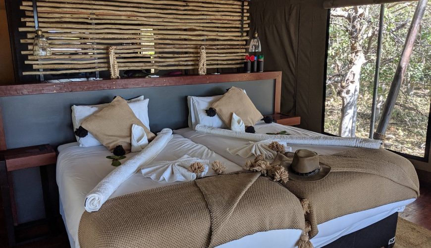 Standard Forest Tents