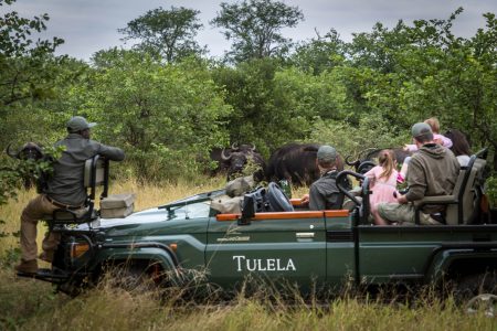 “5 Compelling Reasons Why Safaris Make Unforgettable Holiday Experiences”