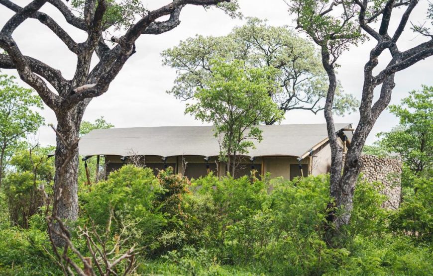 Luxury Tent Sharing (Half Board  Dinner, bed, and breakfast  + 1 x half day game drives per night Stay)