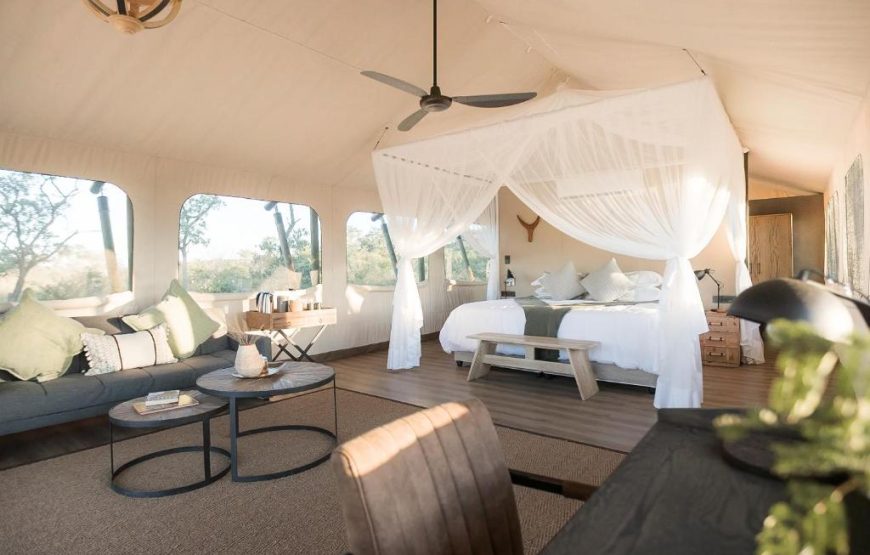 Luxury Tent Sharing (Dinner, bed, and breakfast)