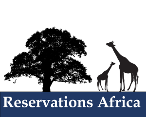 Africa at your fingertips